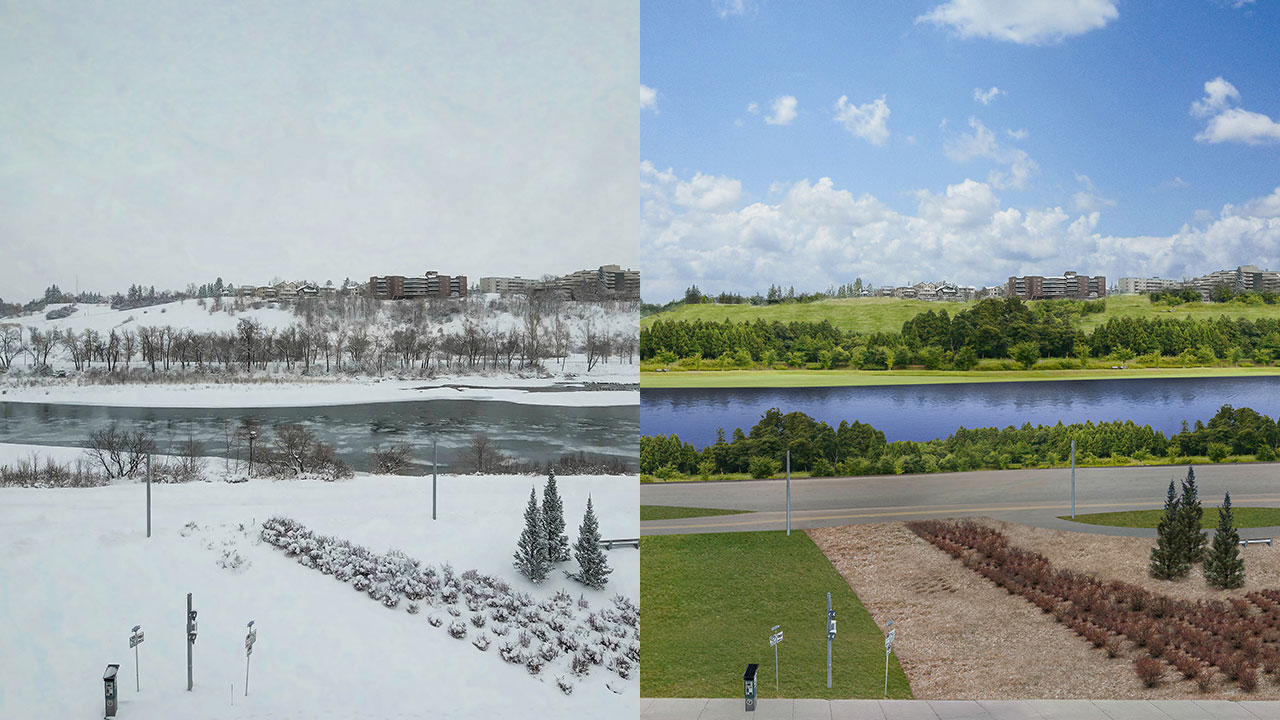 Remove Snow